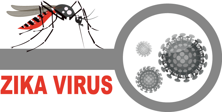 Virus Zika - Hình ảnh minh họa